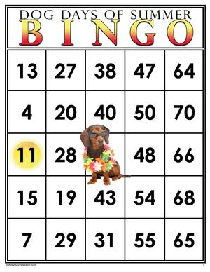 Activity Connection Store A Resource For Printable Bingo 