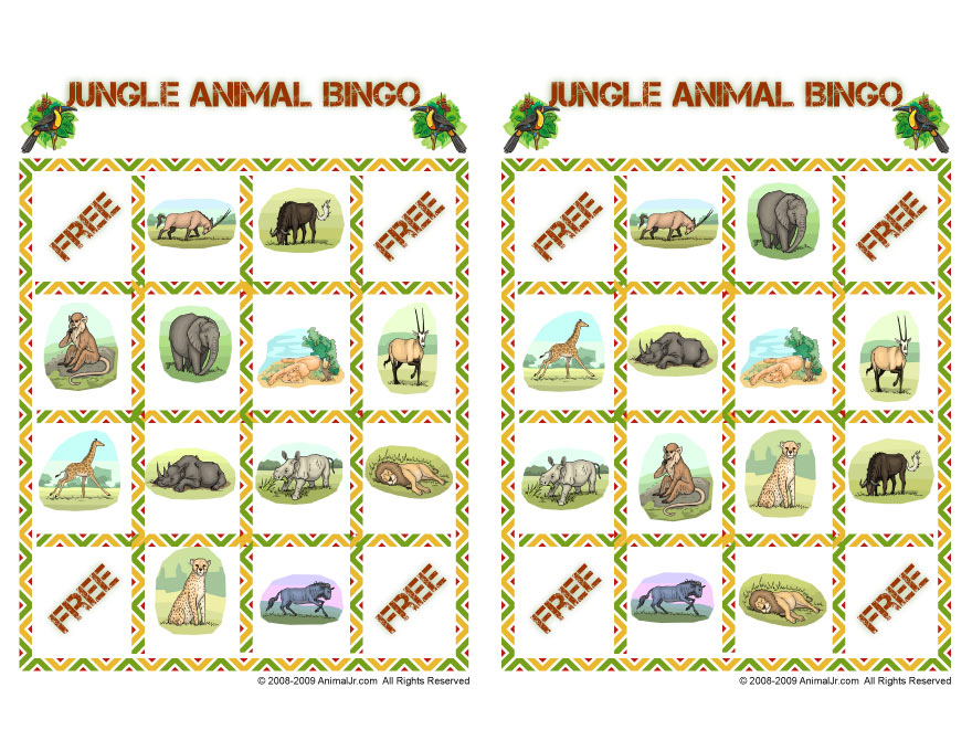 Jungle Animal Bingo Playing Cards Set 5 Woo Jr Kids 