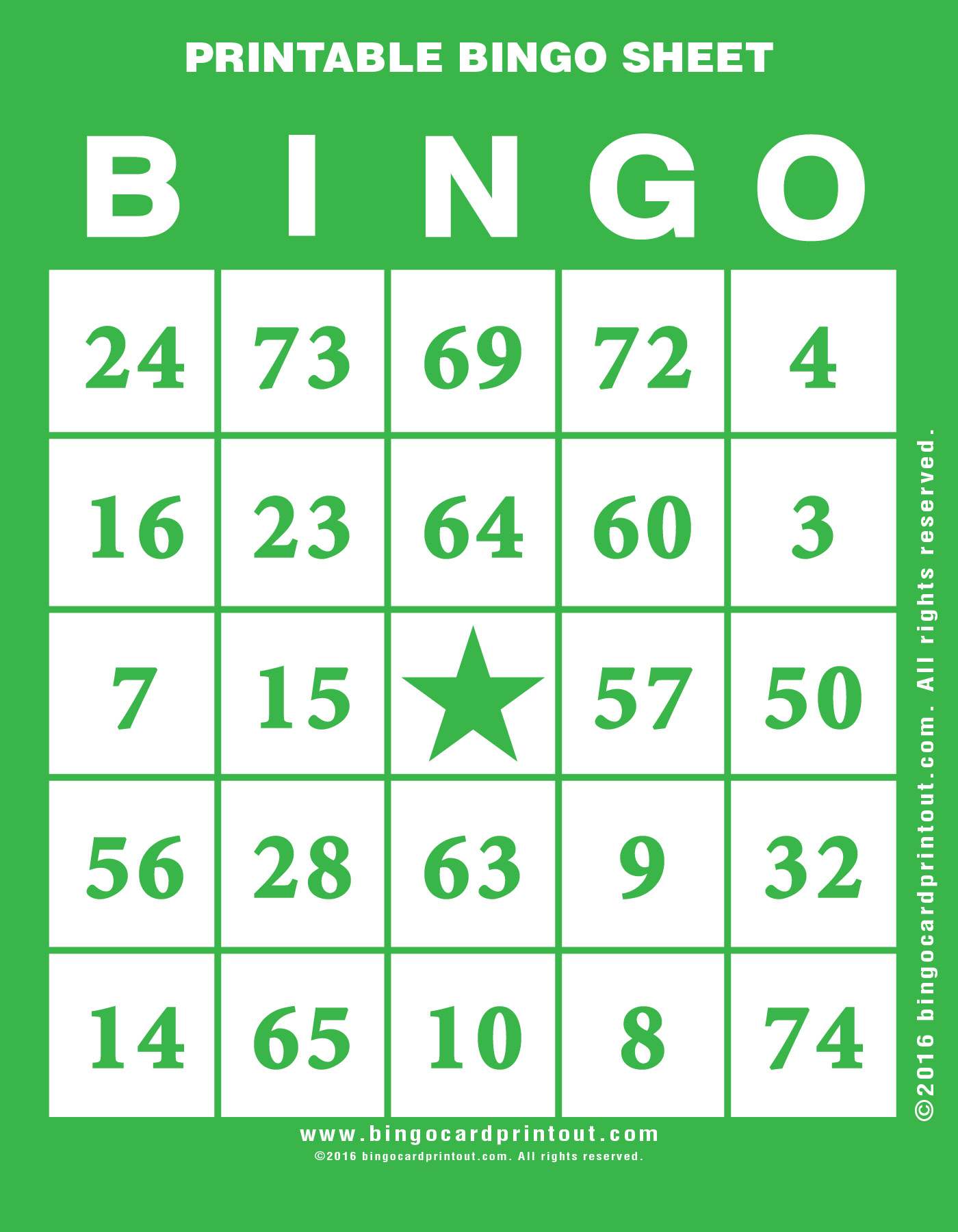 Printable Bingo Sheet BingoCardPrintout