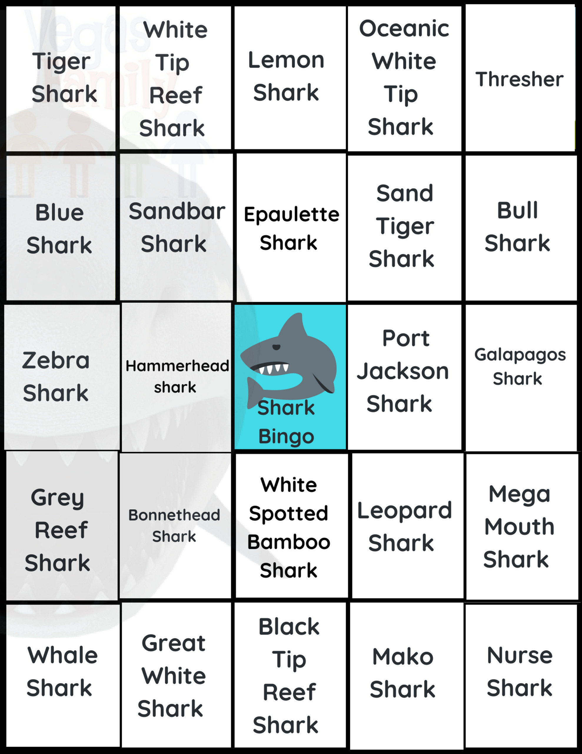 Shark Bingo Learning About Sharks In Las Vegas