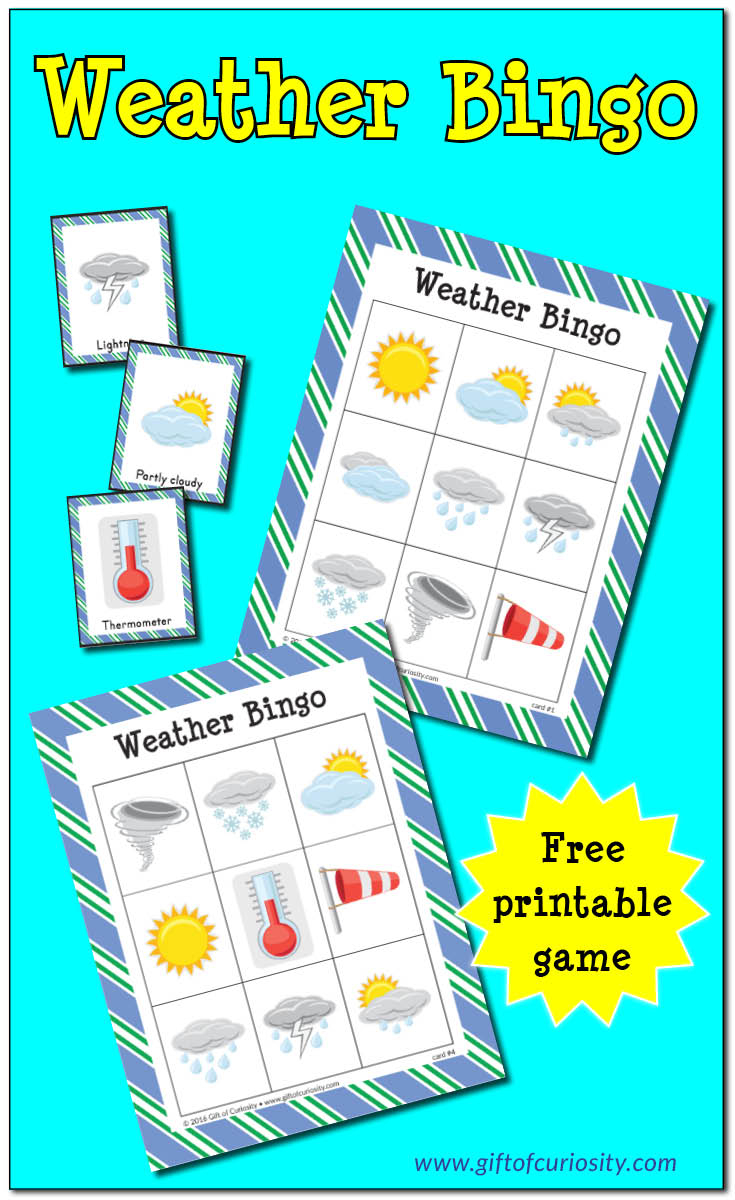 FREE Weather Bingo Printables Free Homeschool Deals