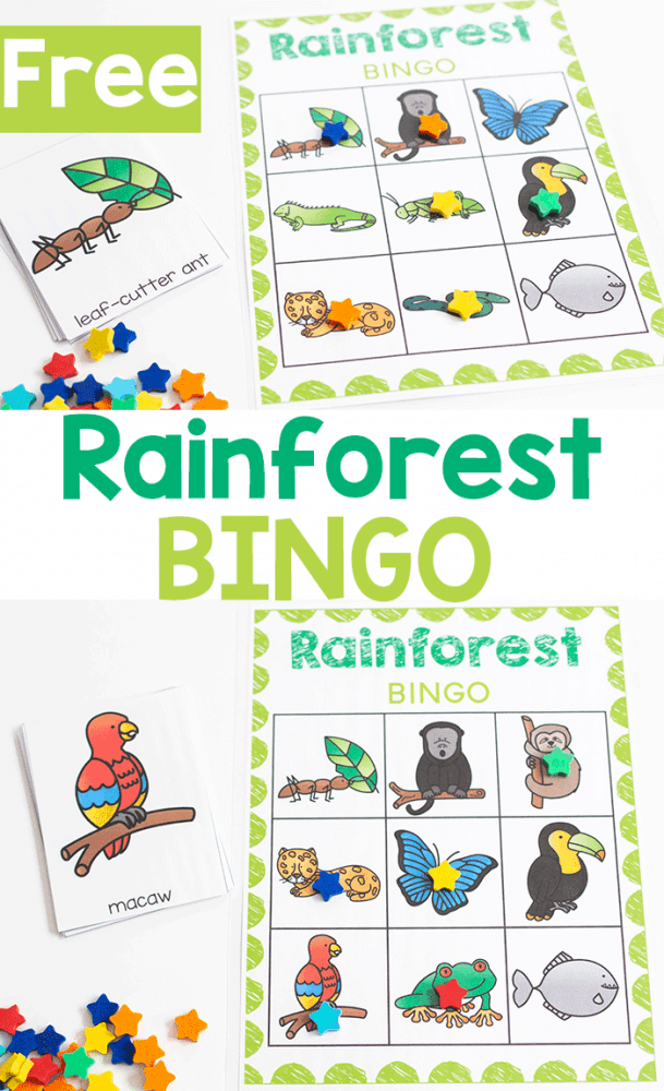 Rainforest Animal Bingo Printable Game