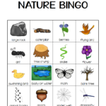 Nature Bingo Printable Activity Take A Hike With Your