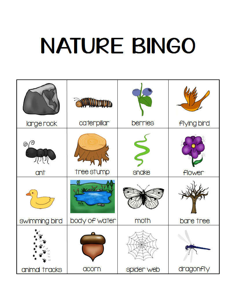 Nature Bingo Printable Activity Take A Hike With Your 