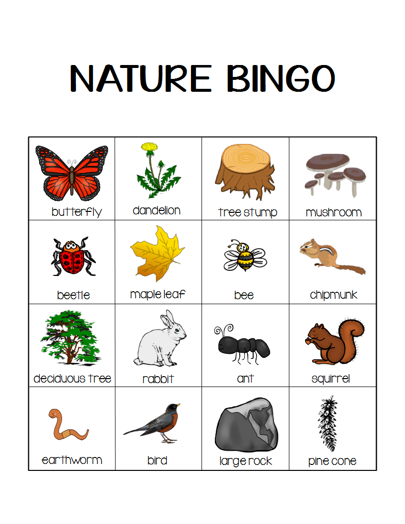 Nature Bingo Printable Activity Take A Hike With Your 