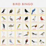 Bird Bingo Game Christine Berrie Scout Co Bingo