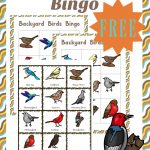 FREE BACKYARD BIRDS PACK Free Homeschool Deals