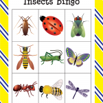 Insects Bingo Gift Of Curiosity