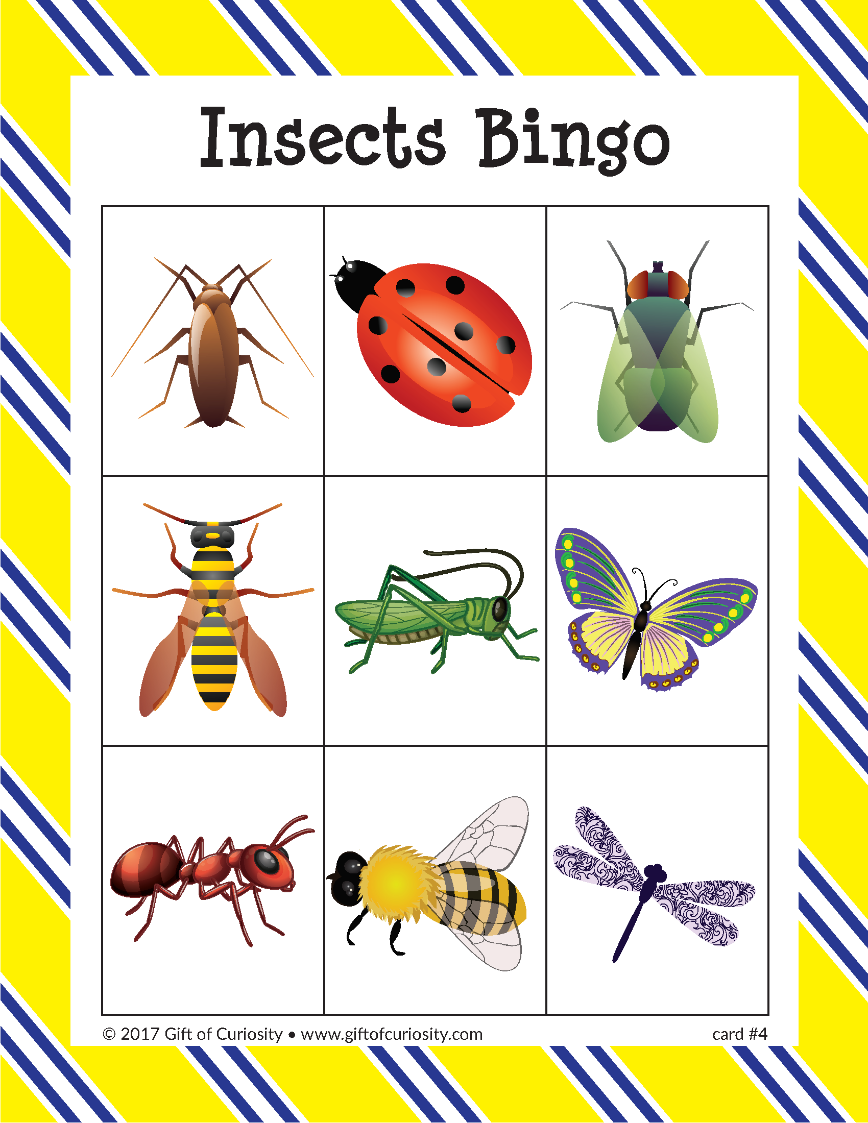 Insects Bingo Gift Of Curiosity