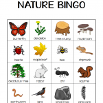 Nature Bingo Cards Printable Printable Bingo Cards