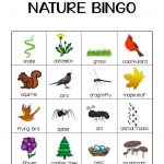 Nature Bingo Printable Activity Take A Hike With Your