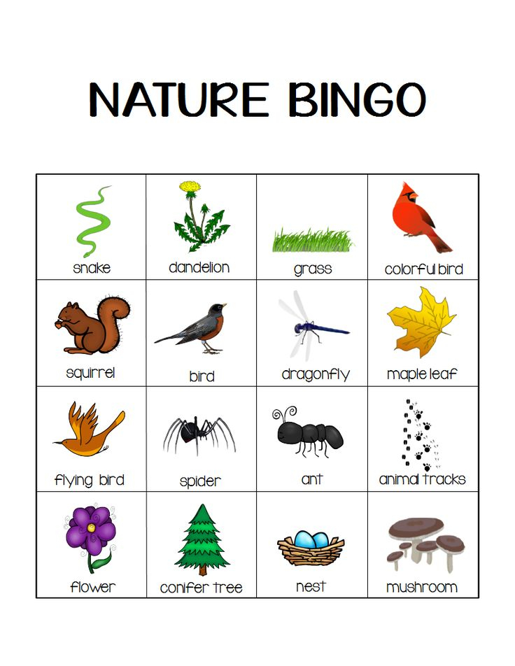 Nature Bingo Printable Activity Take A Hike With Your 