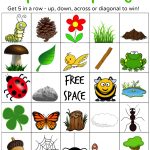 Nature Hunt Bingo