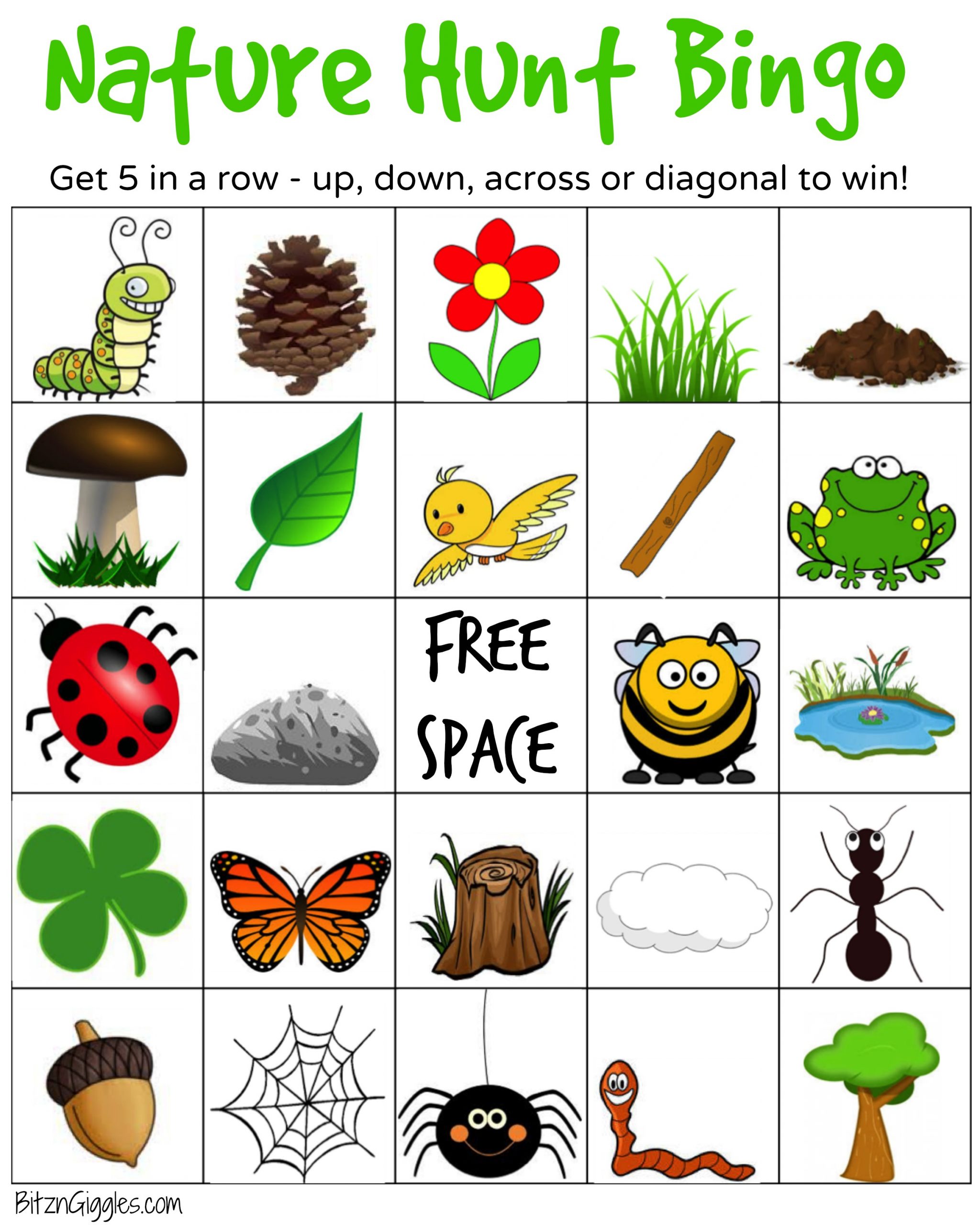 Nature Hunt Bingo