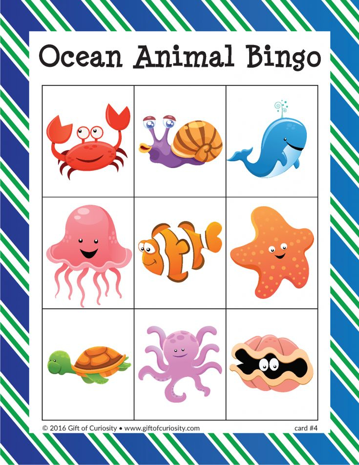 Ocean Animal Bingo Ocean Animals Ocean Animals 