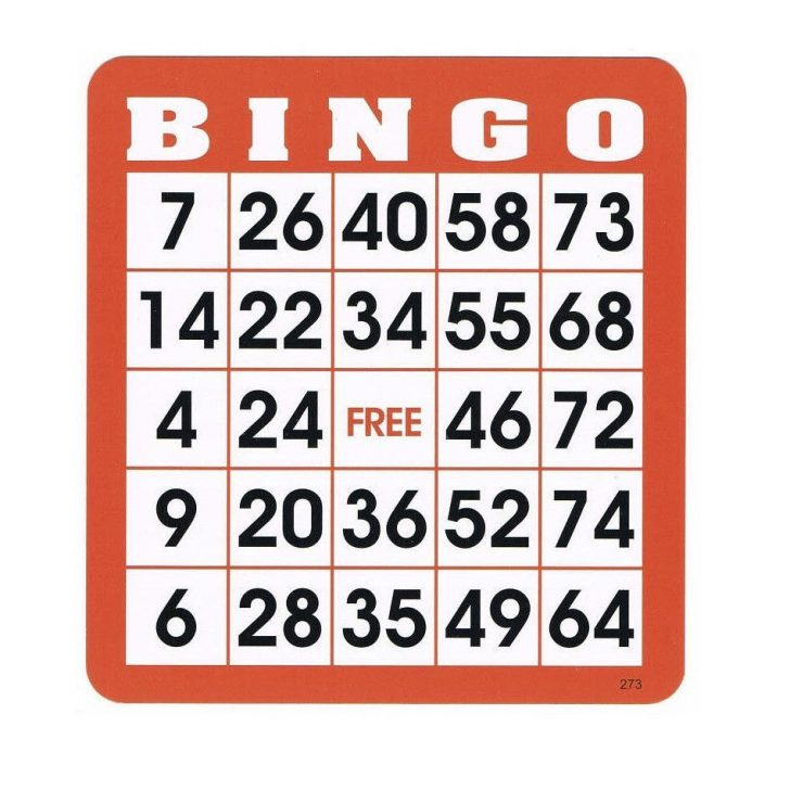 Reusable Bingo Cards Pkg 100 Bingo Cards Bingo