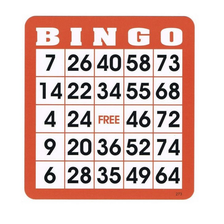 Reusable Bingo Cards Pkg 100 Bingo Cards Bingo 