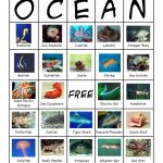 Teachable Tuesdays FREE Aquarium Printables In All You