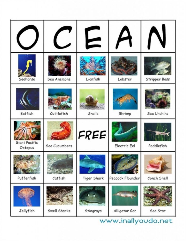Teachable Tuesdays FREE Aquarium Printables In All You