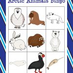 Arctic Animals Bingo Arctic Animals Arctic Animals