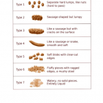 Bristol Stool Chart Printable Pdf Download