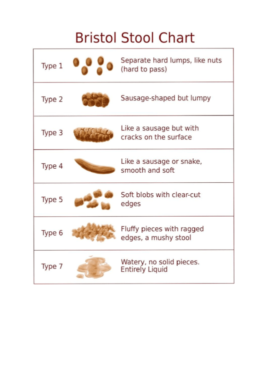 Bristol Stool Chart Printable Pdf Download