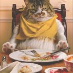 Fat Cat Asleep At Table Funny Humorous Thanksgiving Card