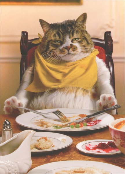 Fat Cat Asleep At Table Funny Humorous Thanksgiving Card 