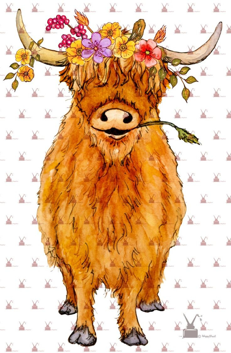 Highland Cow Clipart Farm Clipart Sublimation Designs