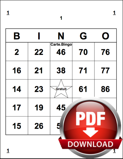Imprimer Des Cartes Bingo G n rateur Bingo