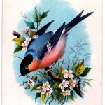 Instant Art Printable Charming Bird On Floral Branch