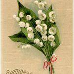Lily Of The Valley Birthday Card The Graphics Fairy