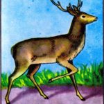 Mexican Folk Art Deer EL VENADO Loteria Print 5 By