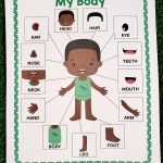 My Body Parts Poster Human Body Parts All About My Body Etsy
