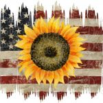 Pin By Cyndy Simons On Sweet Sunflowers Sunflower