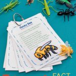 Pin On Bugs Insect Activities For Kids