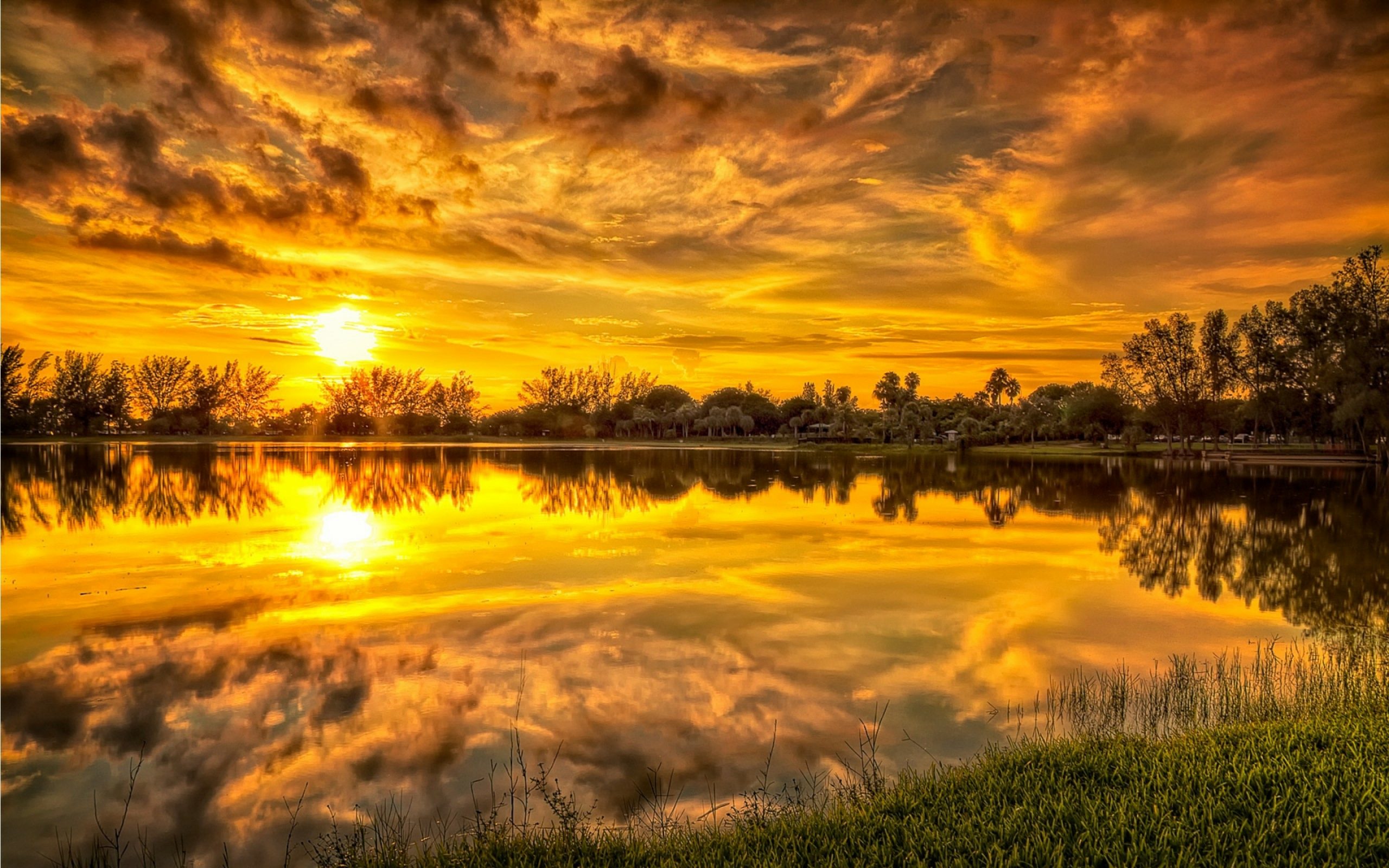 Sunset Calm Lake Trees Grass Yellow Sky Clouds Reflection 