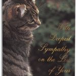 Sympathy Assortment Pack 8 Nonpersonalized Folding Card