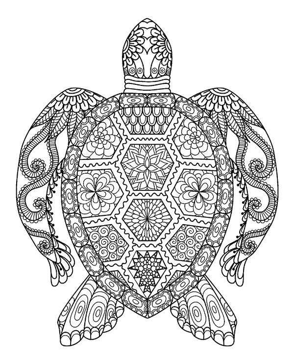 Turtle Tortoise Free Printable Coloring Page For Adults