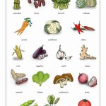 Vegetables Flash Cards In French For Kids L gumes