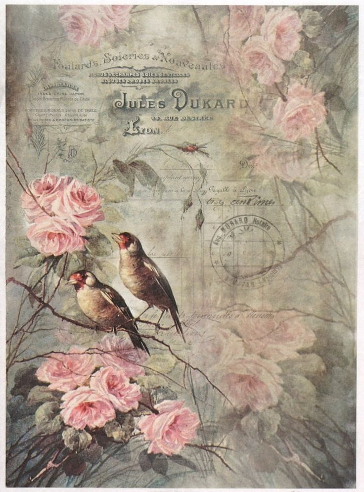 Vintage Birds Roses A4 Rice Paper For Decoupage 