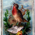 Vintage Clip Art Amazing Bird Card Robin The