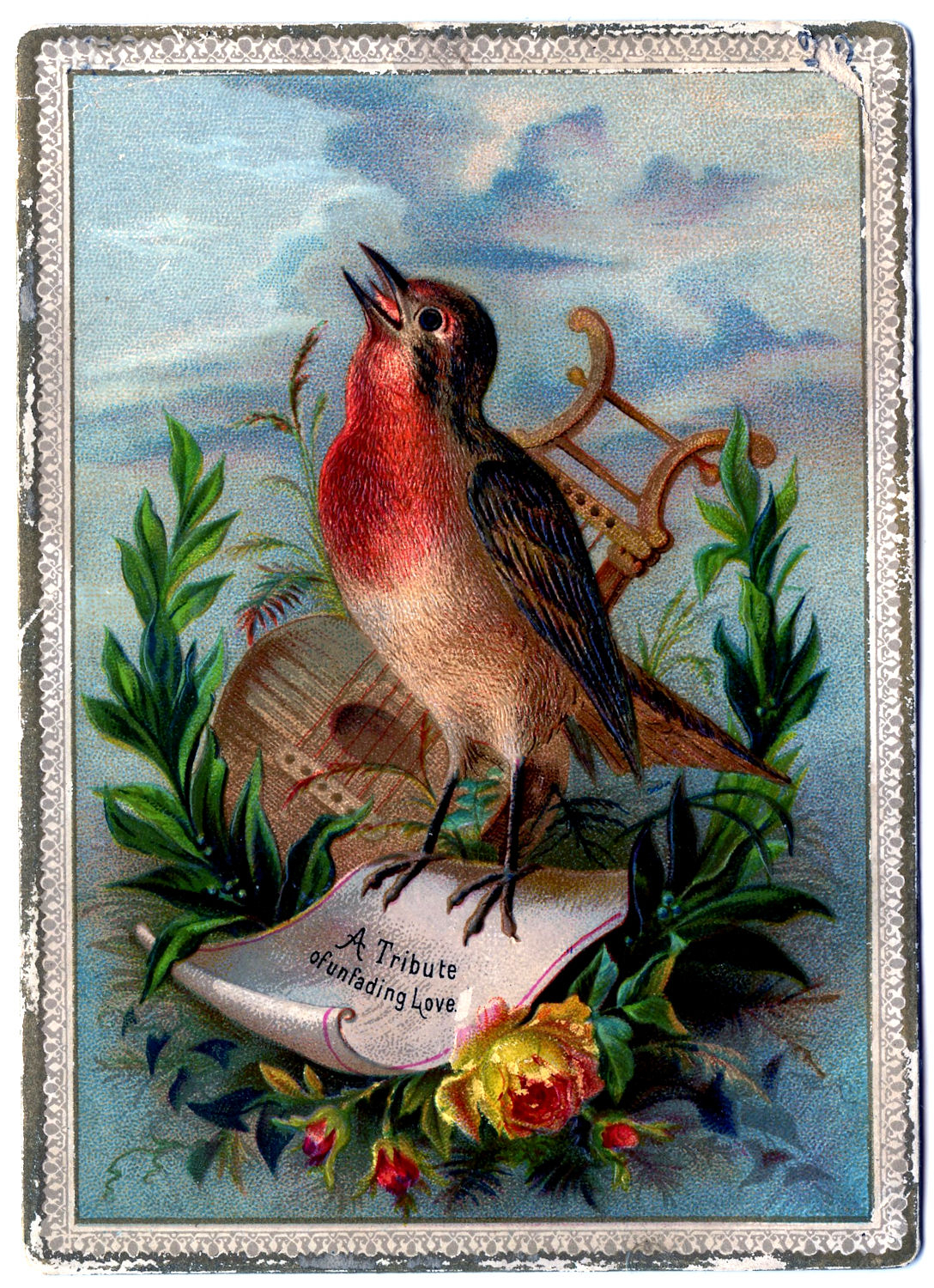 Vintage Clip Art Amazing Bird Card Robin The 