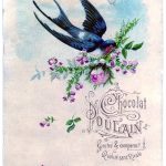 Vintage Clip Art Pretty Swallow With Roses The