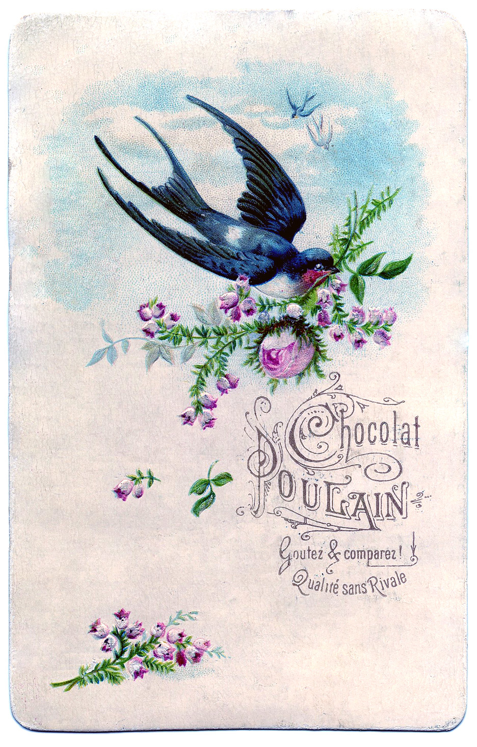 Vintage Clip Art Pretty Swallow With Roses The 