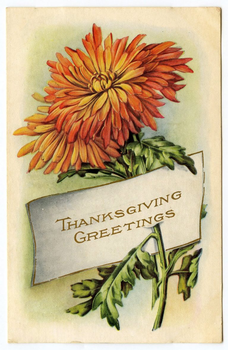 Vintage Thanksgiving Clip Art Mums Placecard The