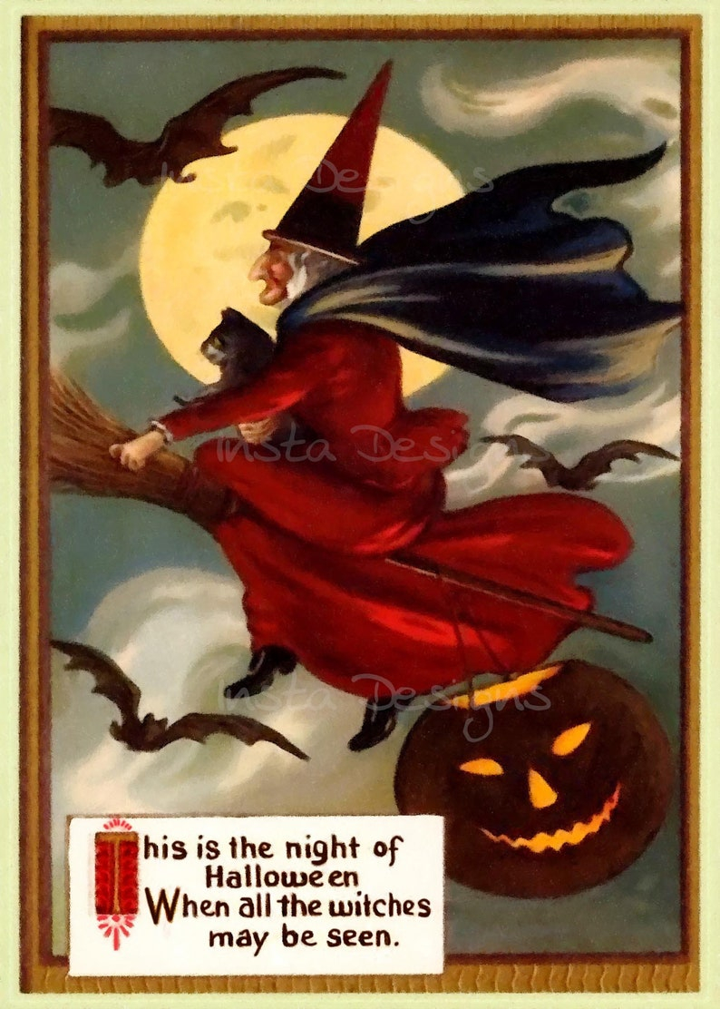 Witch Flying On Her Broom Stick Black Cat Jack O Lantern 