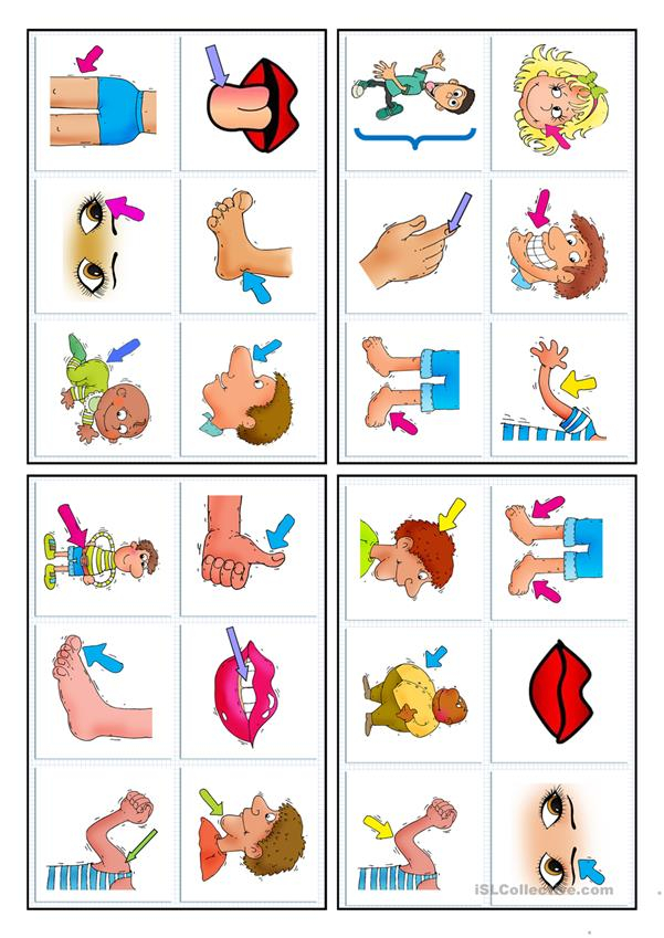 24 BINGO CARDS PARTS OF THE BODY English ESL 