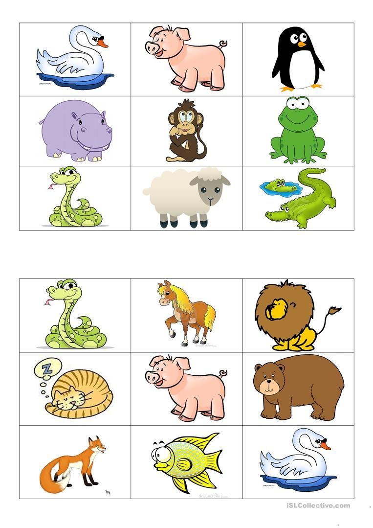 Animals Bingo Cards Worksheet Free ESL Printable 