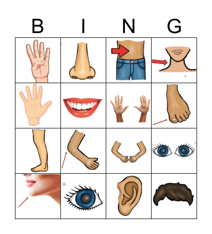 BODY PARTS Bingo Card BODY PARTS Bingo Card
